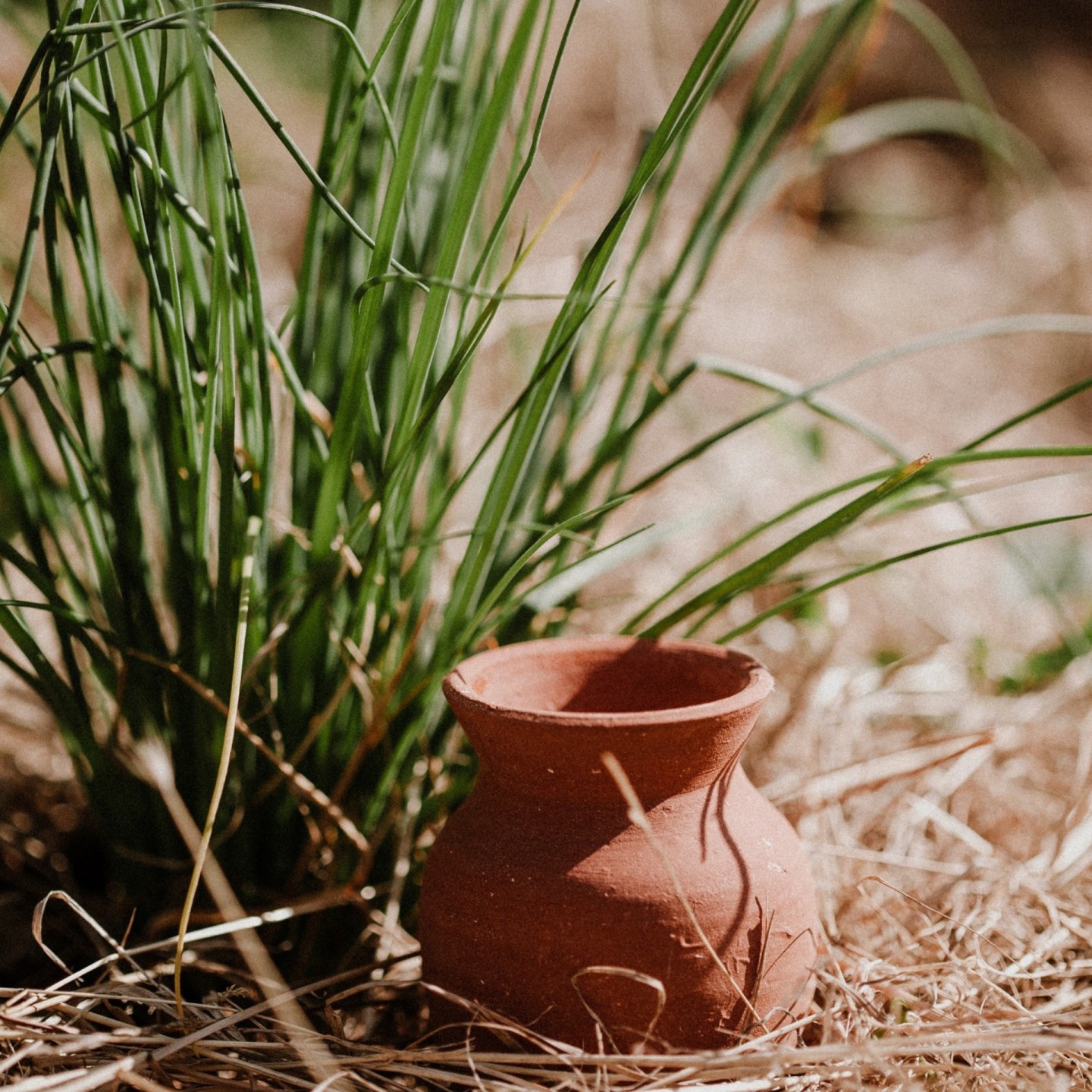 Ollas Cône à planter 100% Artisanal - Ollas Lutton Diffuseur d'eau