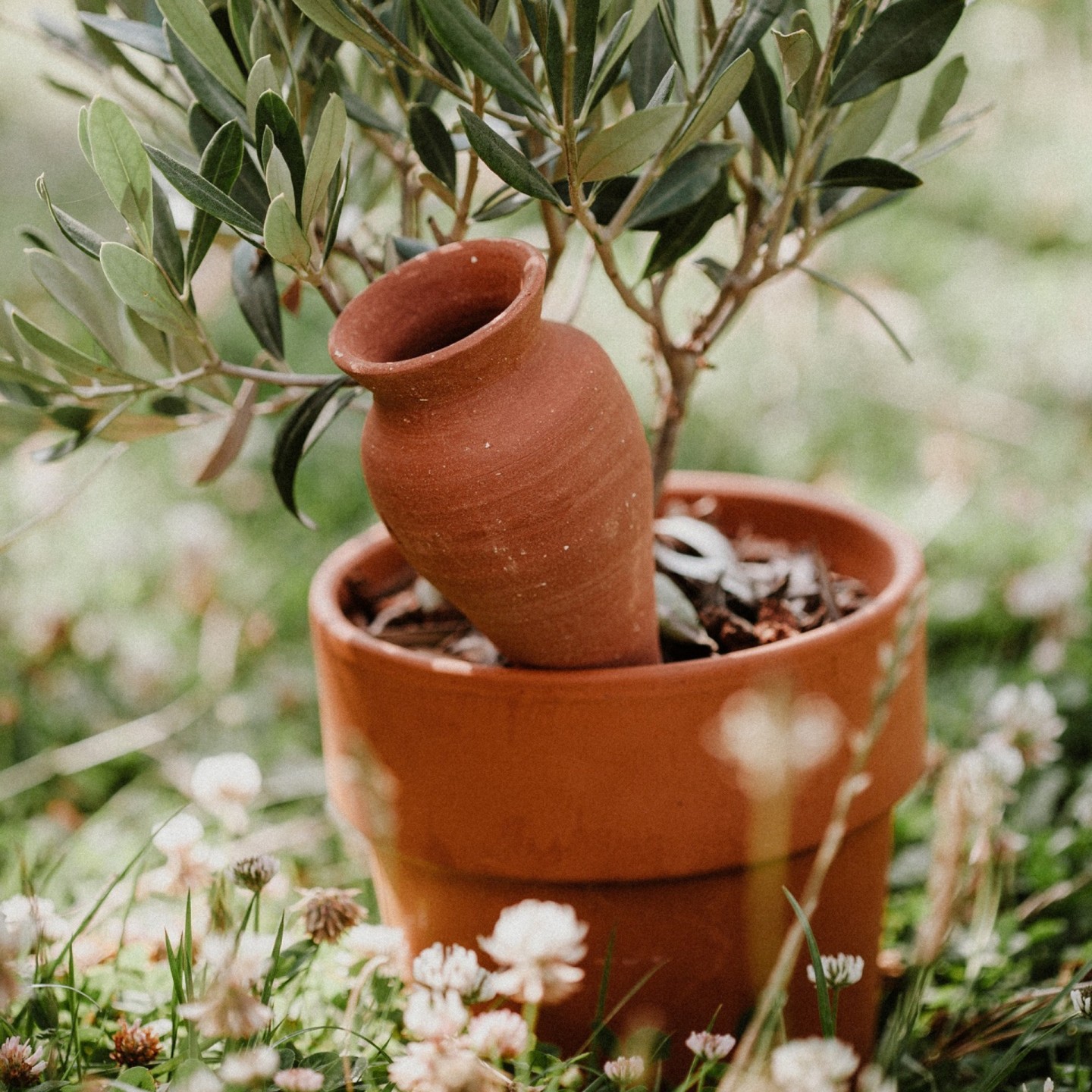 Ollas Cône à planter 100% Artisanal - Ollas Lutton Diffuseur d'eau