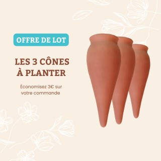 Lot Ollas Cône à planter 100% Artisanal - Ollas Lutton