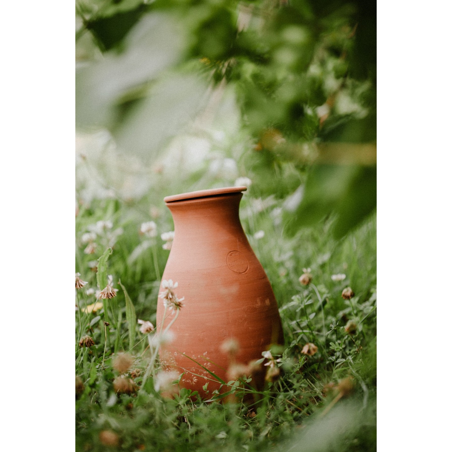 Famille Ollas Potager Acheter - Ollas Lutton - Diffuseur d'eau