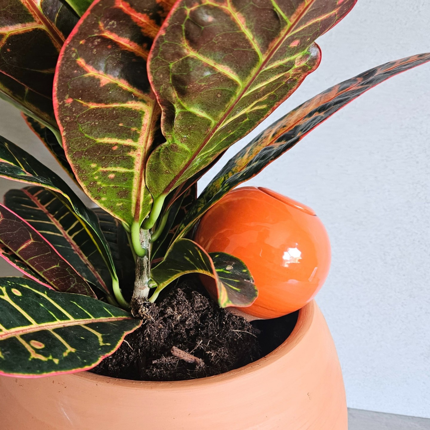 Ollas à Planter Medium -  Fabrication 100% artisanale en Vendée.