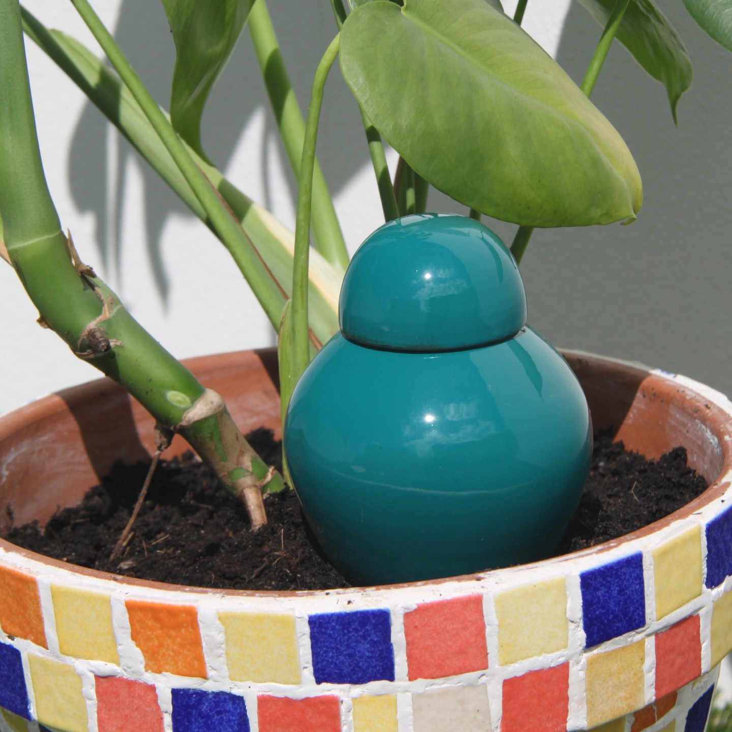 Ollas Sabeur Acheter - Ollas Lutton - Arrosoir autonome