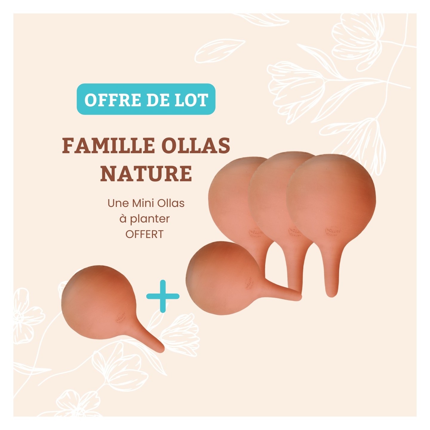 Famille ollas nature - Ollas Lutton le pot qui arrose à votre place