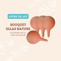 Bouquet ollas nature - Ollas Lutton le pot qui arrose à votre place