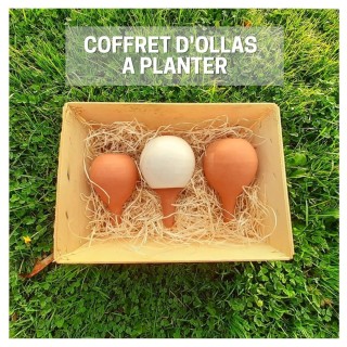 Coffret d'ollas à planter