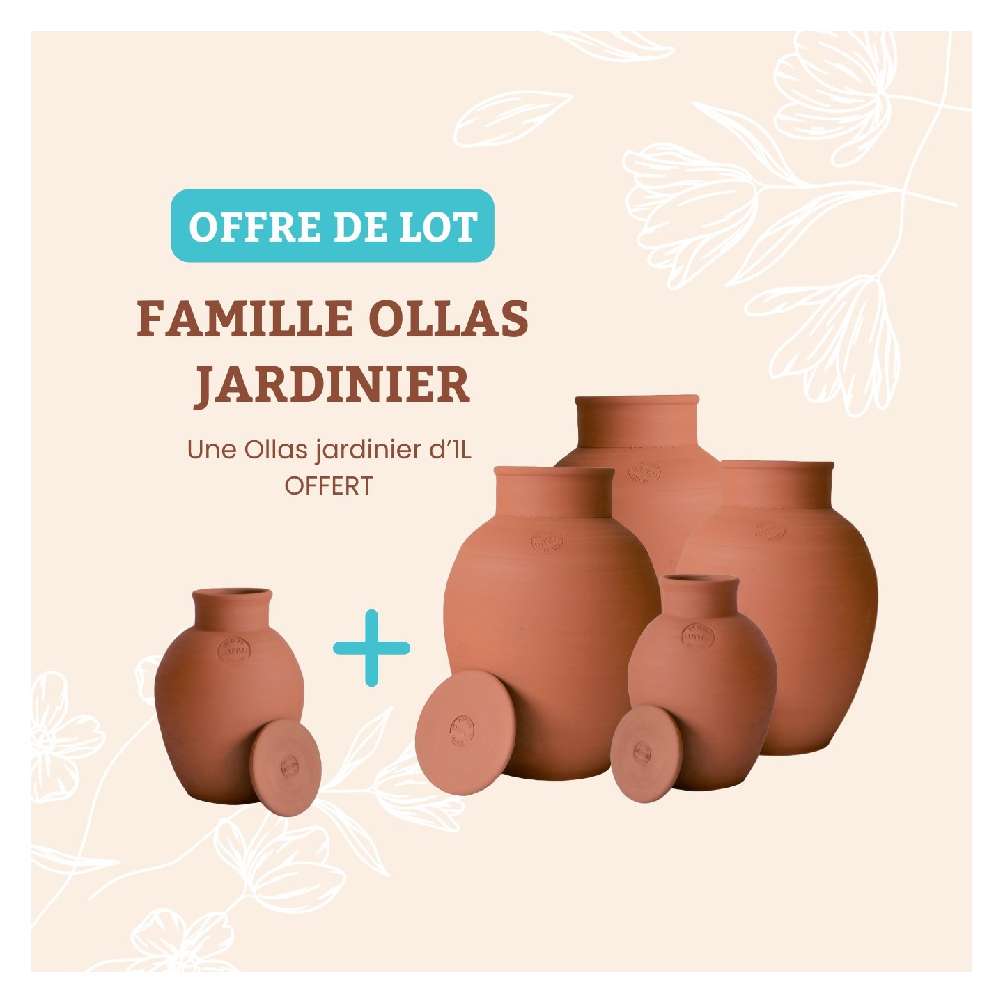 Famille Ollas Jardinier - Ollas Lutton