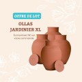 Économisez 9€ sur le Lot de 4 Ollas Jardinier 8L - Arrosage Écologique