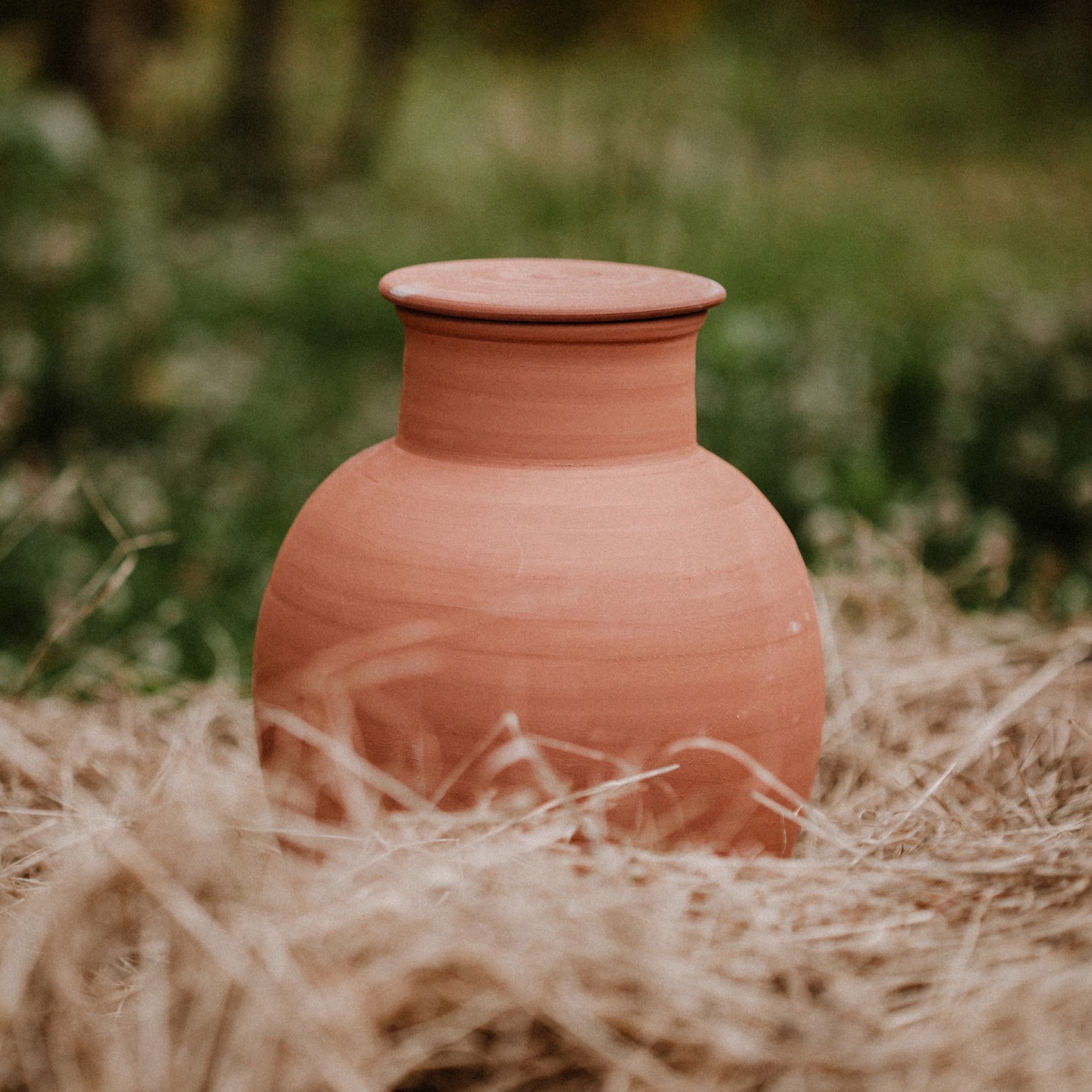 Économisez 9€ sur le Lot de 4 Ollas Jardinier 8L - Arrosage Écologique