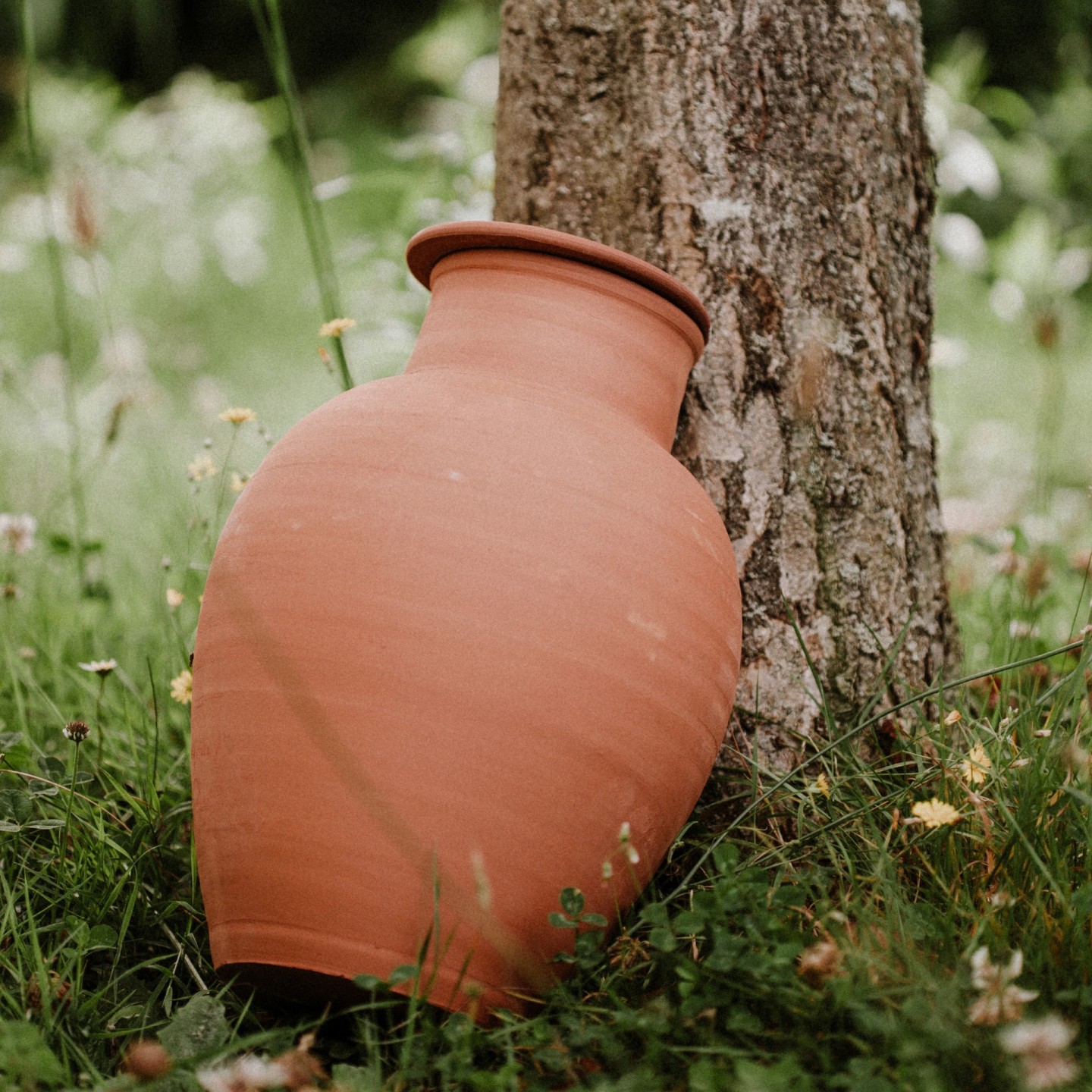 Économisez 9€ sur le Lot de 4 Ollas Jardinier 8L - Arrosage Écologique