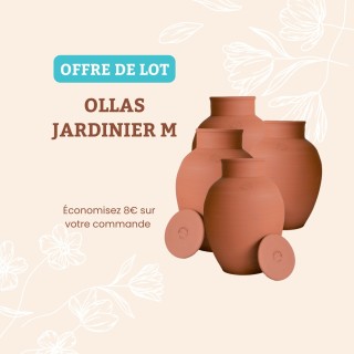 Lot Ollas Jardinier M (2,5L) x4 - Arrosage Autonome et Écologique