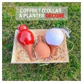 Coffret d'ollas à planter décoré - Ollas Lutton