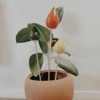 Lots de bulbes décoration de jardin