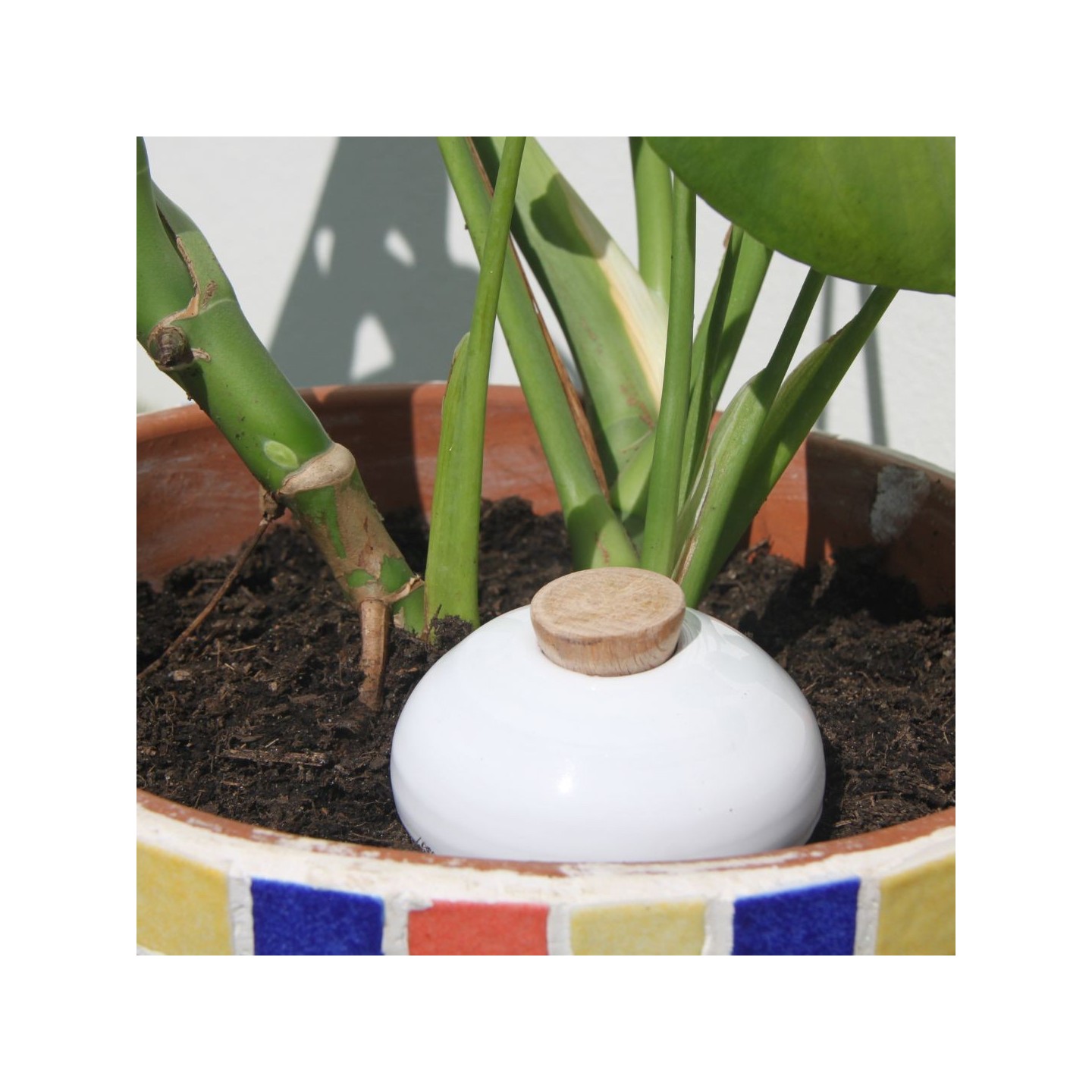 Ollas Galet : L'accessoire d’irrigation naturel pour vos plantes en pot