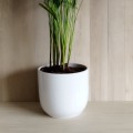Cache pots-gamme Contemporain