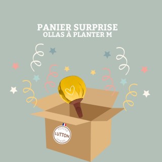 Panier Surprise à Ollas Planter - Idéal pour vous offrir votre propre ollas à plante de 40 cl , à un prix imbatable de 14 euros