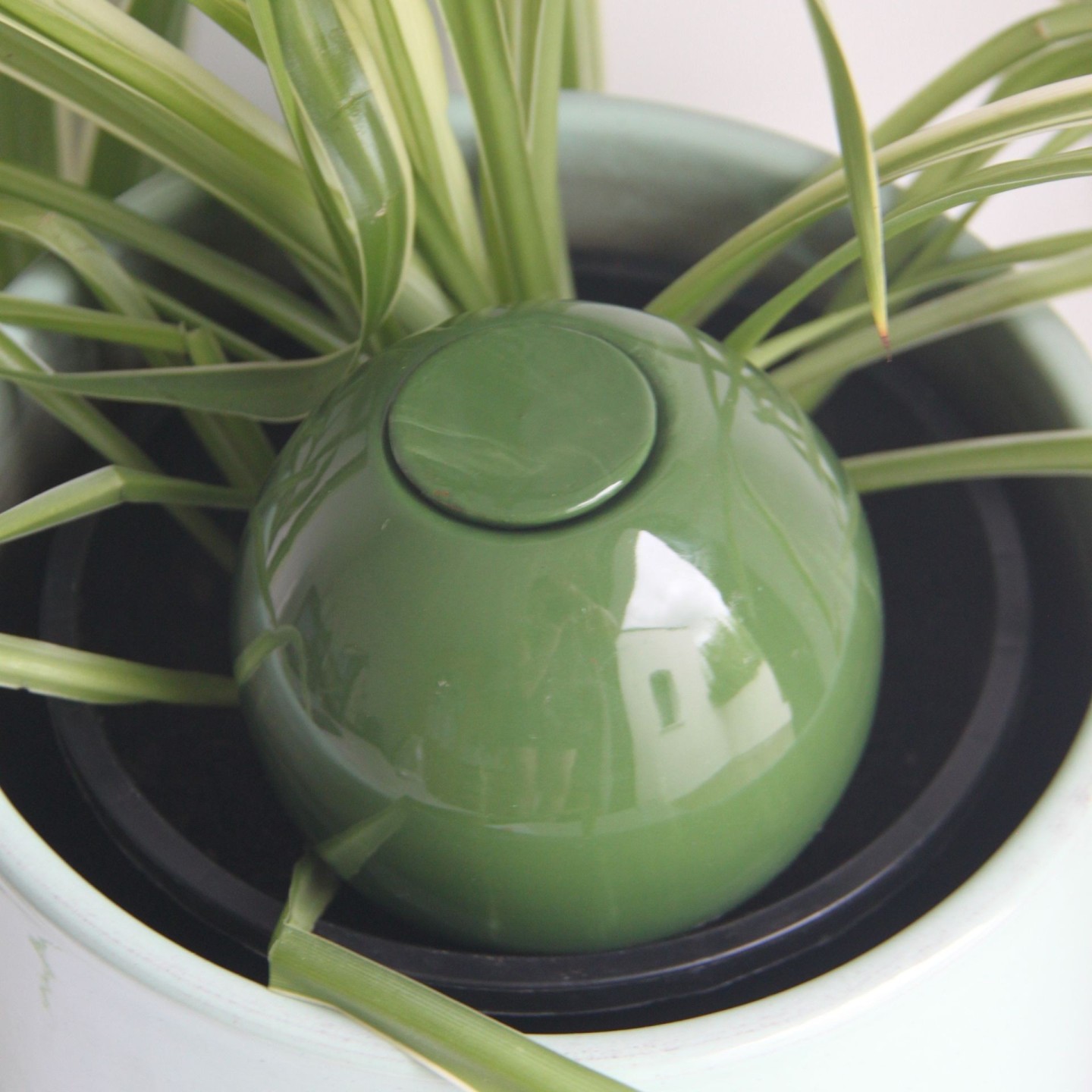 Ollas à Planter Medium – Poterie artisanale française | Arrosage naturel et durable – Ollas Lutton