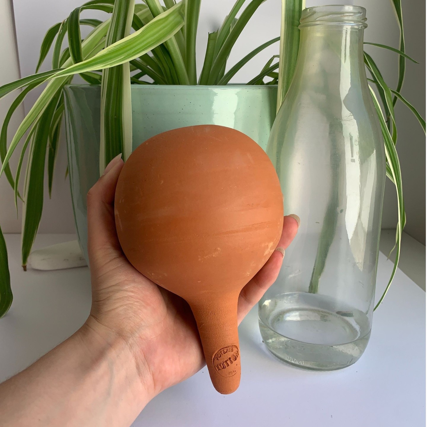 Ollas à Planter Medium -  Fabrication 100% artisanale en Vendée.