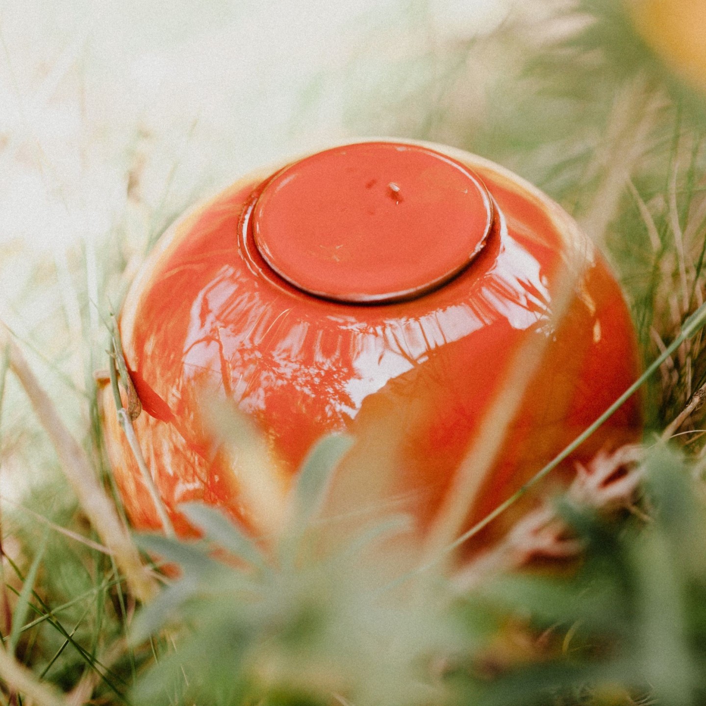 Ollas à Planter Medium -  Fabrication 100% artisanale en Vendée.