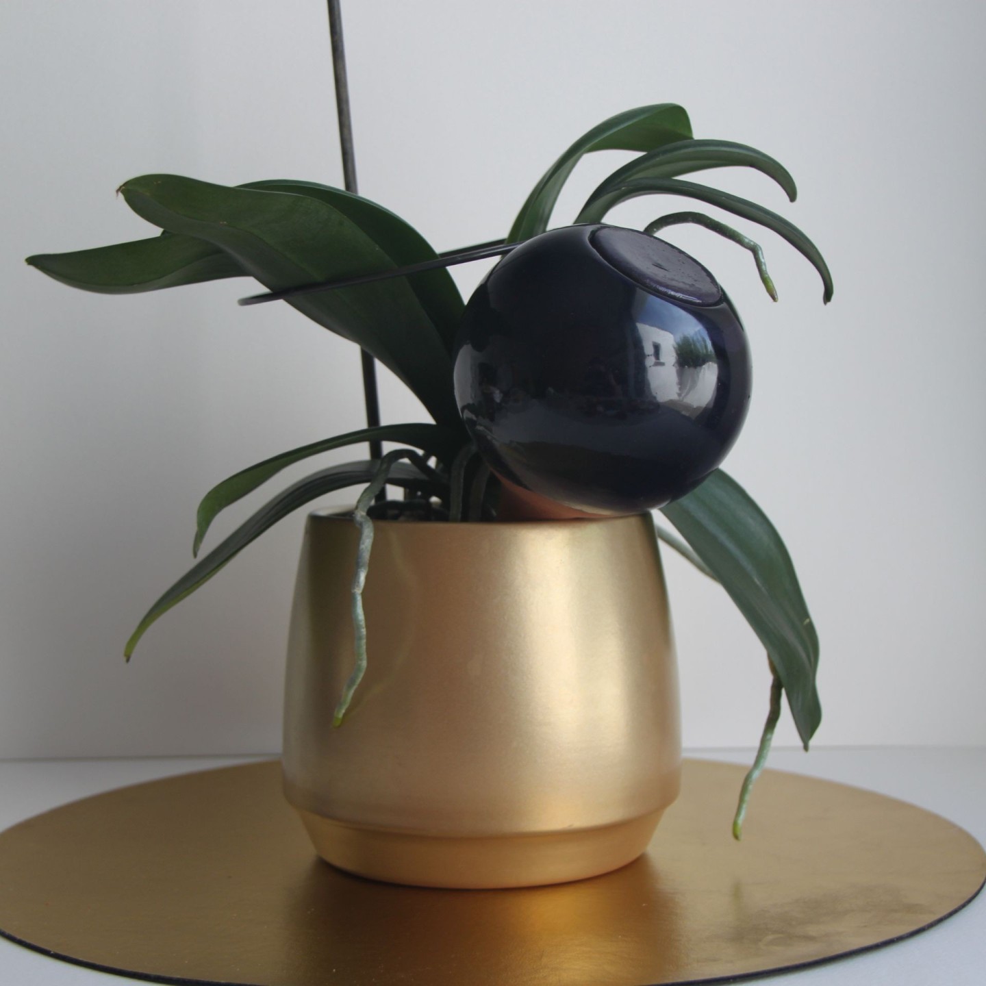 Ollas à Planter Medium -  Fabrication 100% artisanale en Vendée.