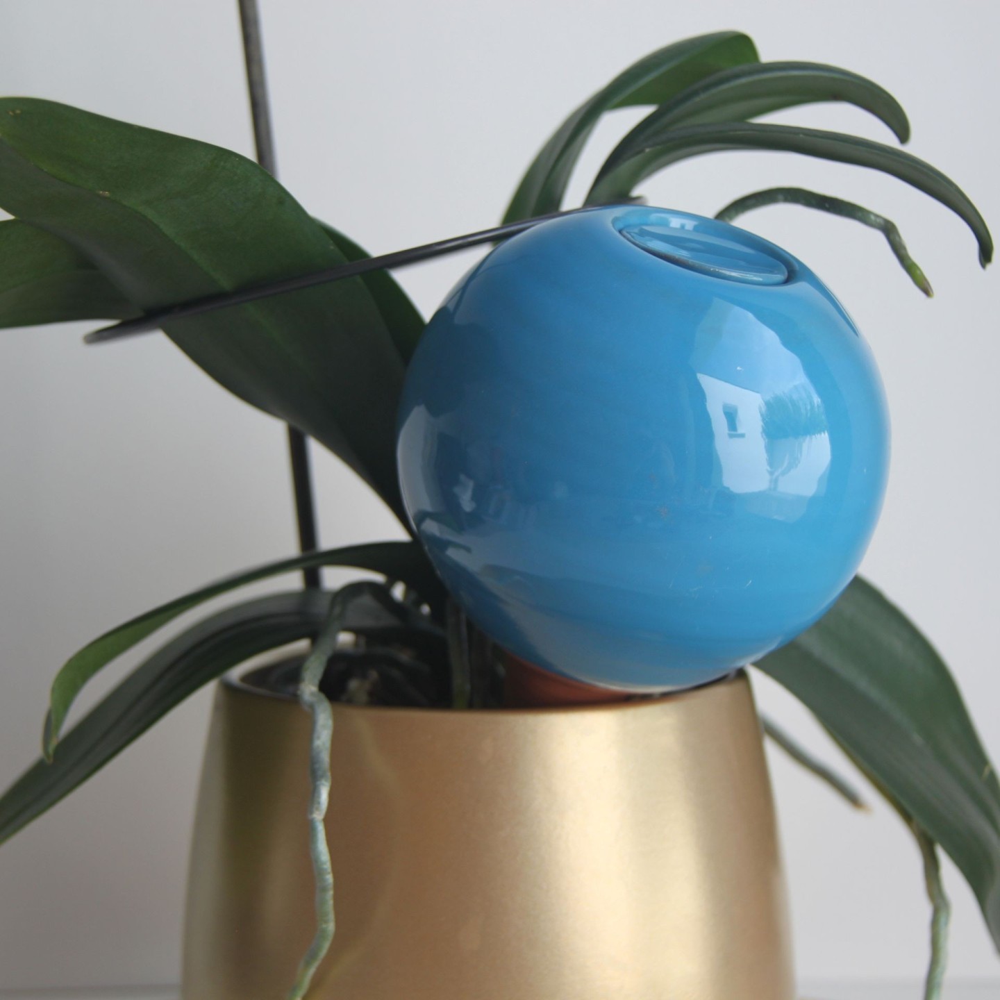 Ollas à Planter Medium -  Fabrication 100% artisanale en Vendée.