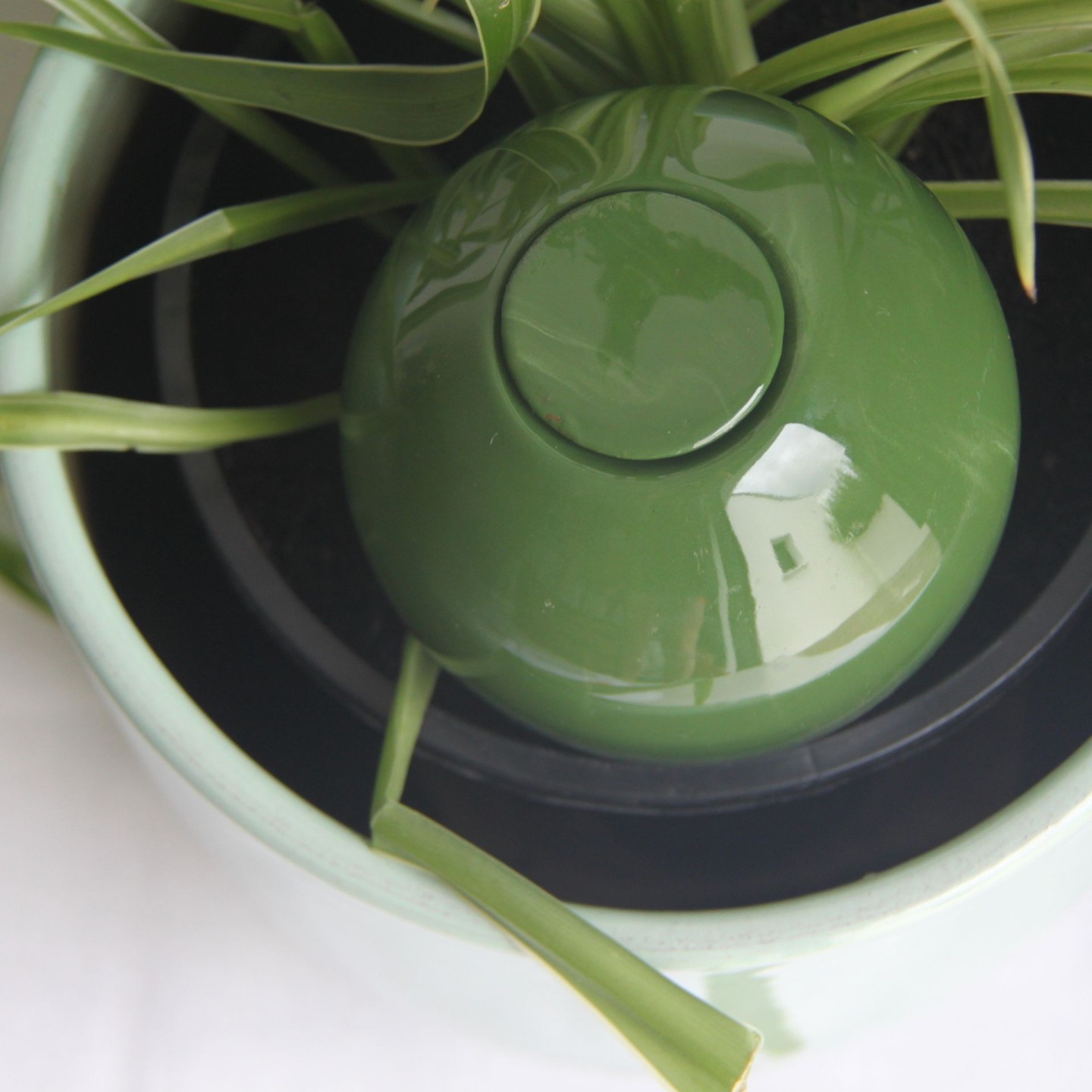 Ollas à Planter Medium – Poterie artisanale française | Arrosage naturel et durable – Ollas Lutton