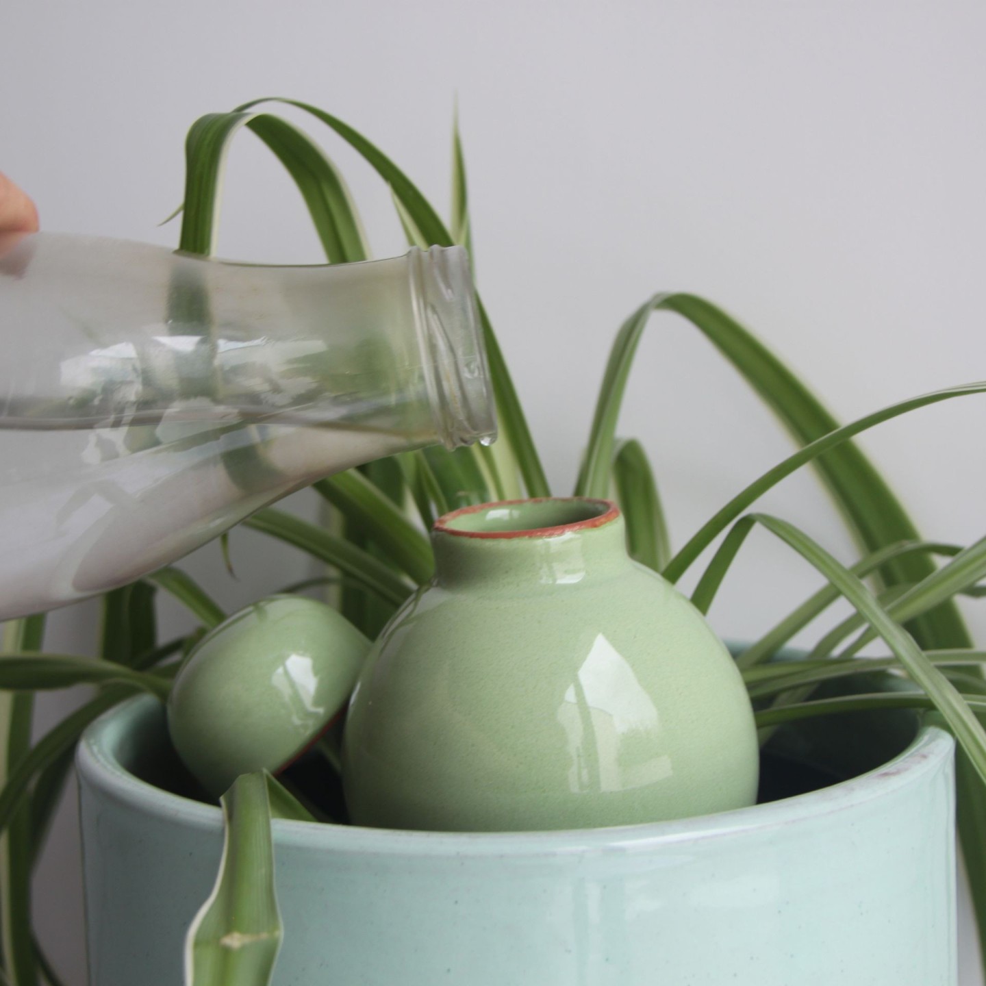 Ollas Sabeur Acheter - Ollas Lutton - Arrosoir autonome