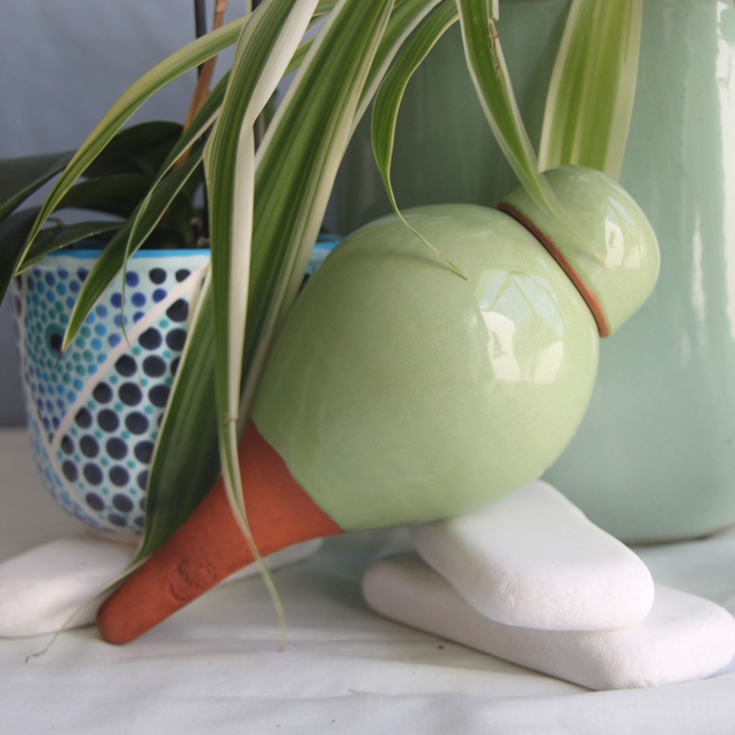 Ollas Sabeur Acheter - Ollas Lutton - Arrosoir autonome