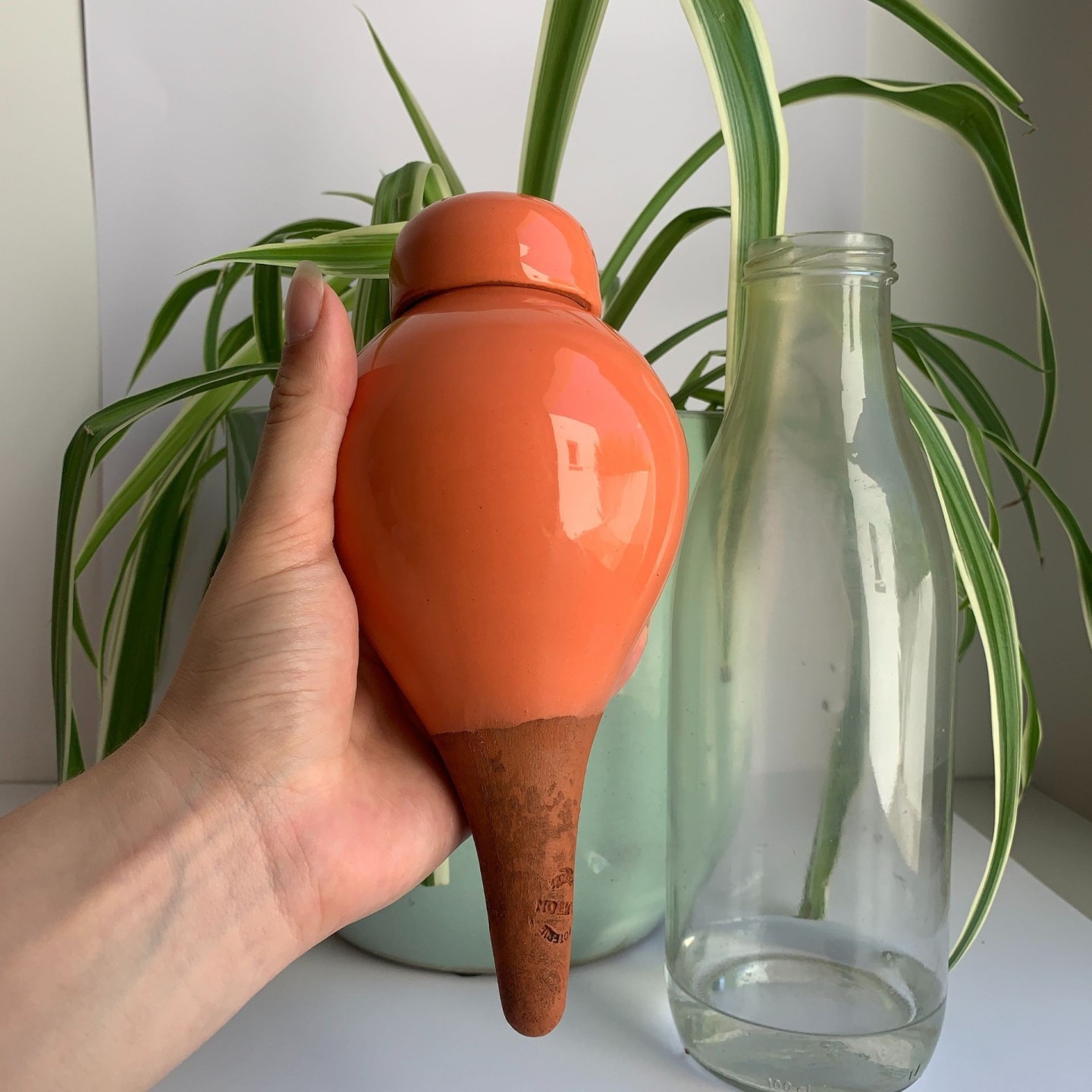 Ollas Sabeur Acheter - Ollas Lutton - Arrosoir autonome