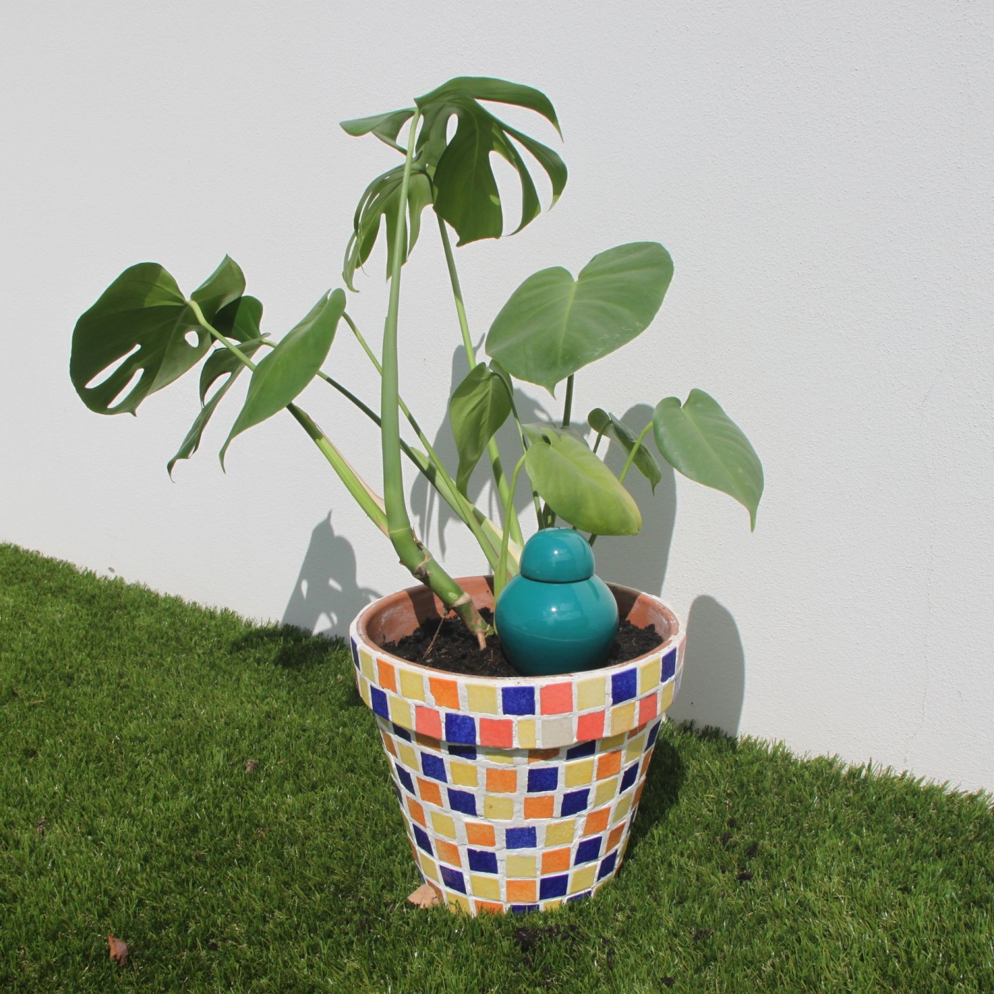 Ollas Sabeur Acheter - Ollas Lutton - Arrosoir autonome