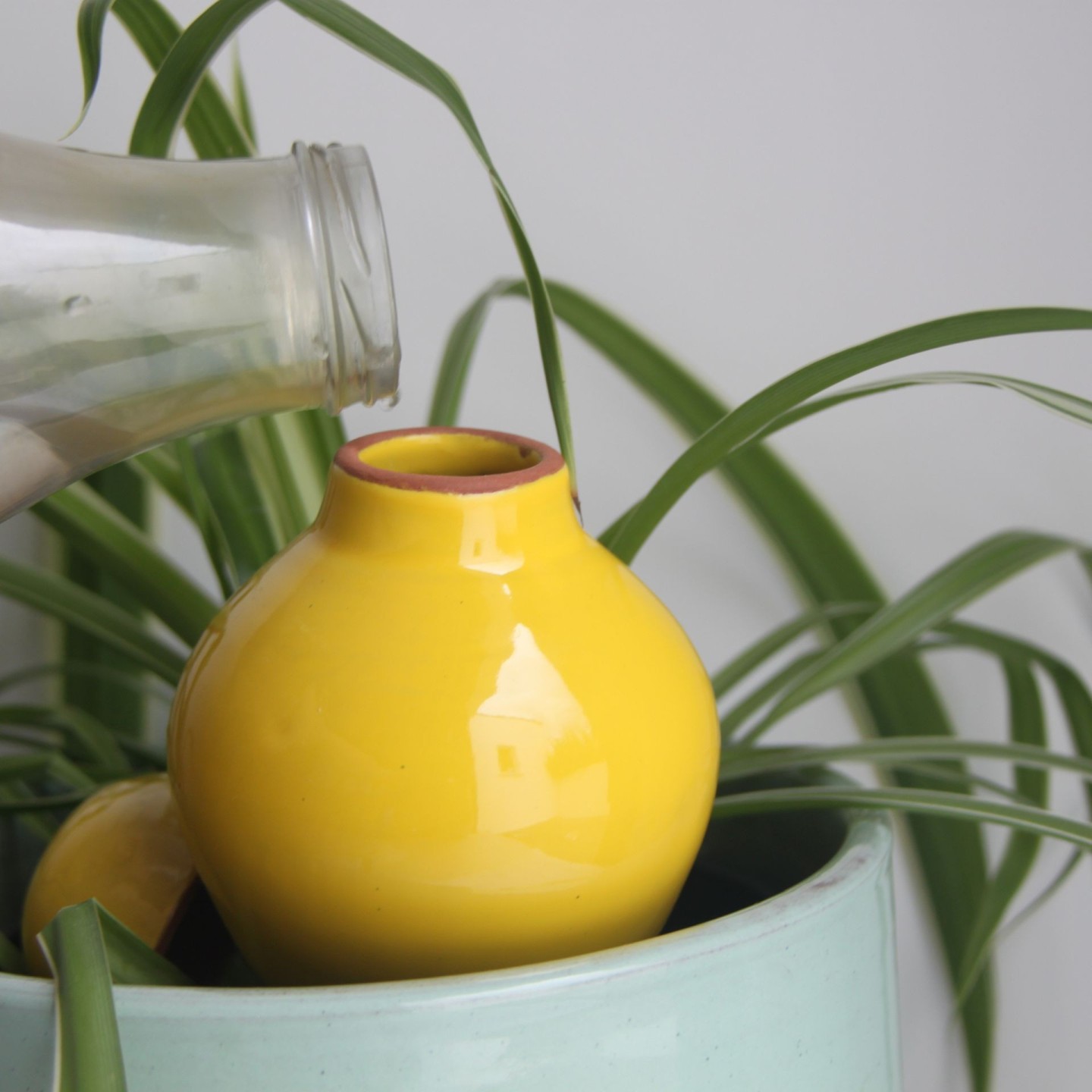 Ollas Sabeur Acheter - Ollas Lutton - Arrosoir autonome