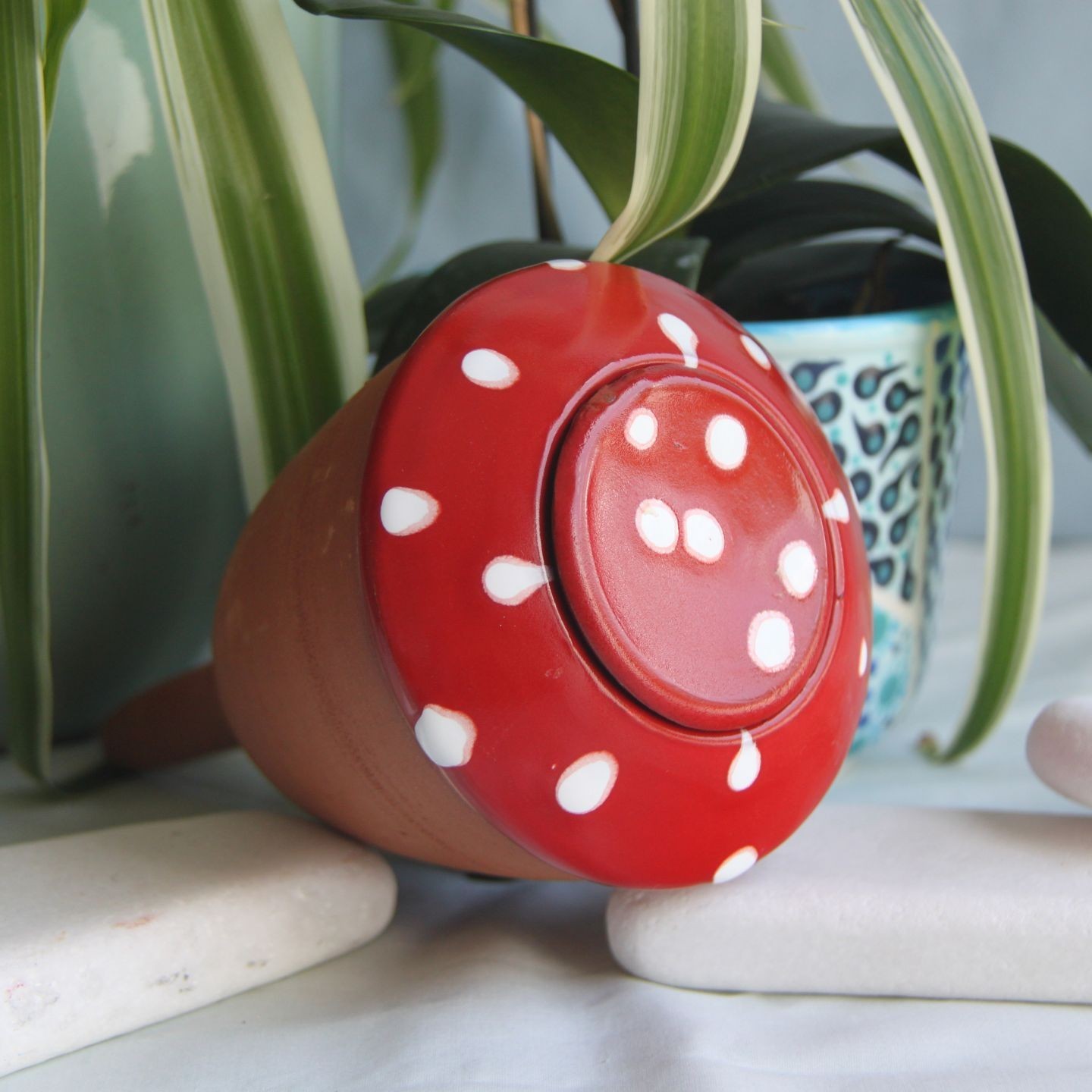 Ollas bolet - Ollas Lutton