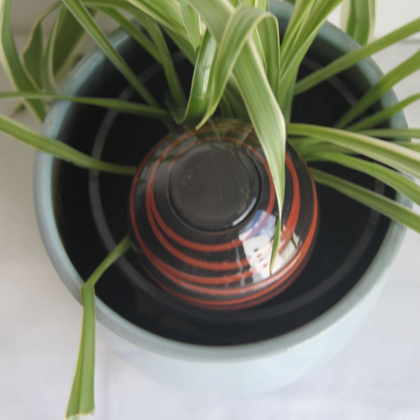 Ollas à Planter Spiral - Irrigation Autonome et Élégant