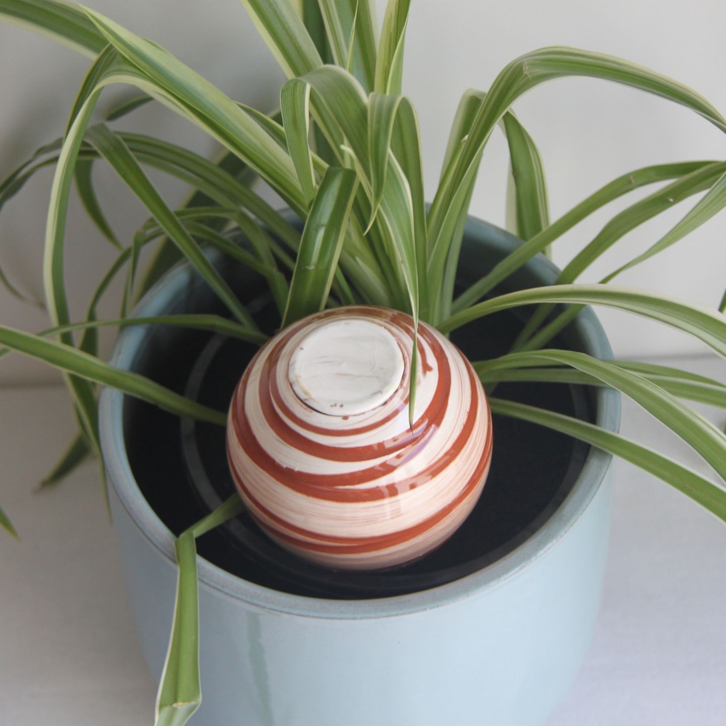 Ollas à planter Spiral - Ollas Lutton