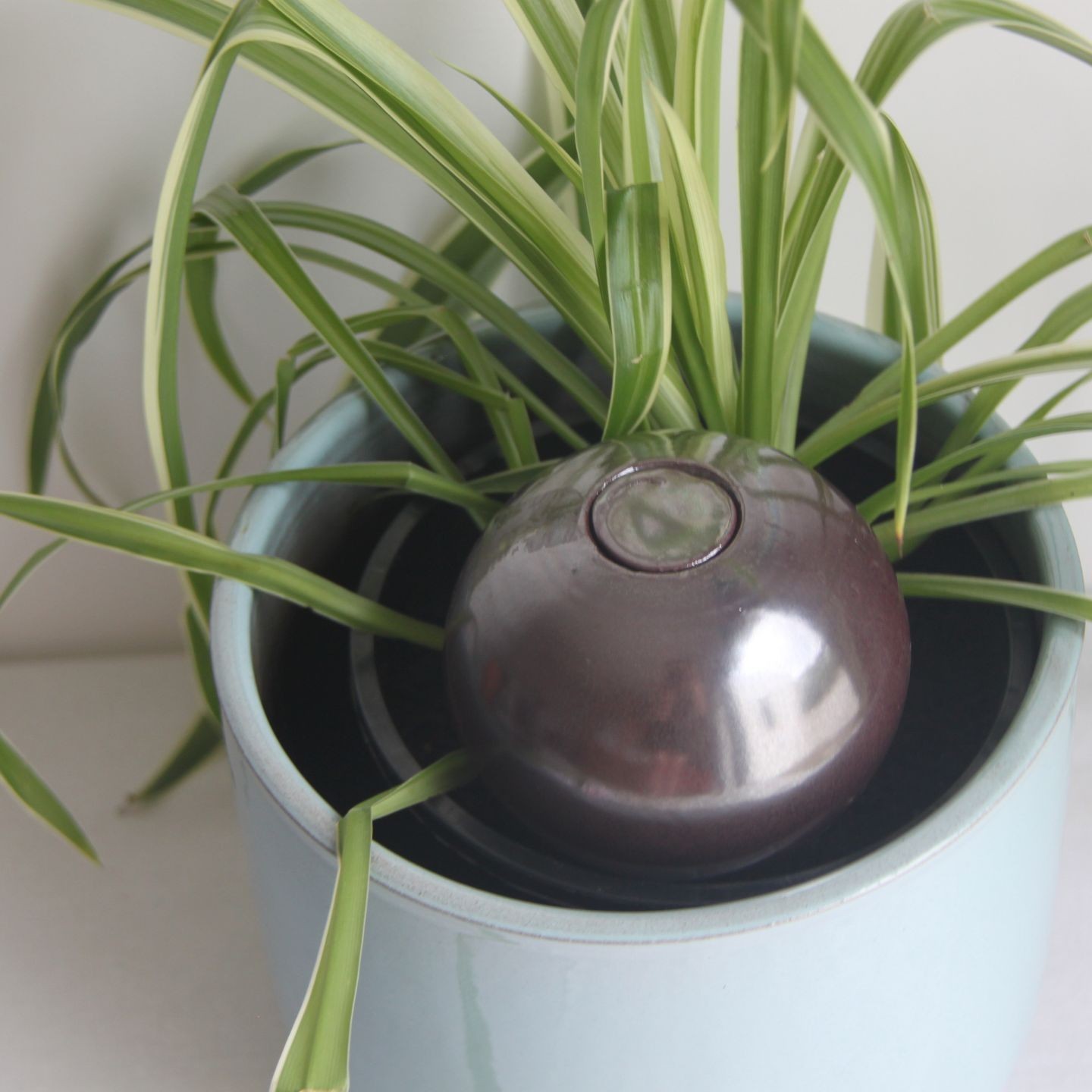 Ollas à Planter Métallique Acheter - Ollas Lutton - Diffuseur d'eau autonome