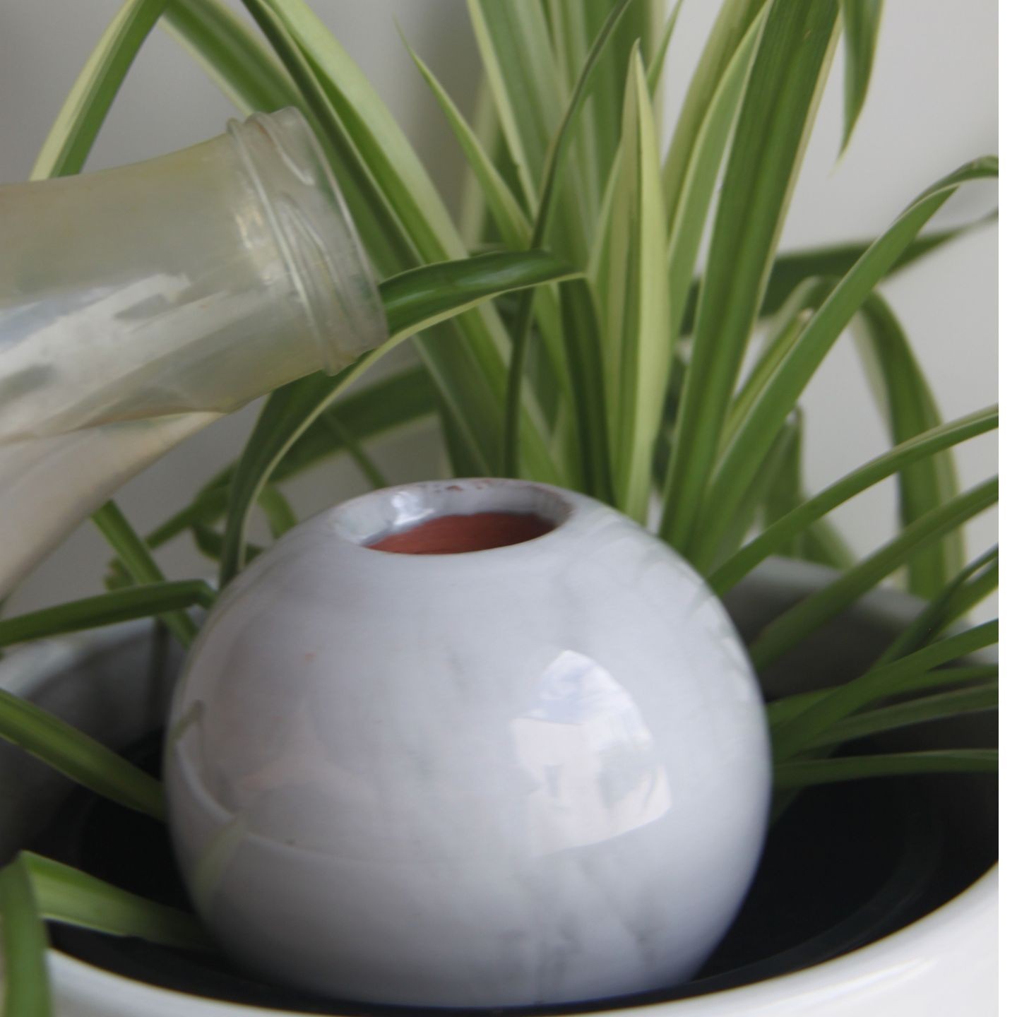 Ollas à Planter Marbrée- Diffuseur d'eau autonome-Fabrication artisnales