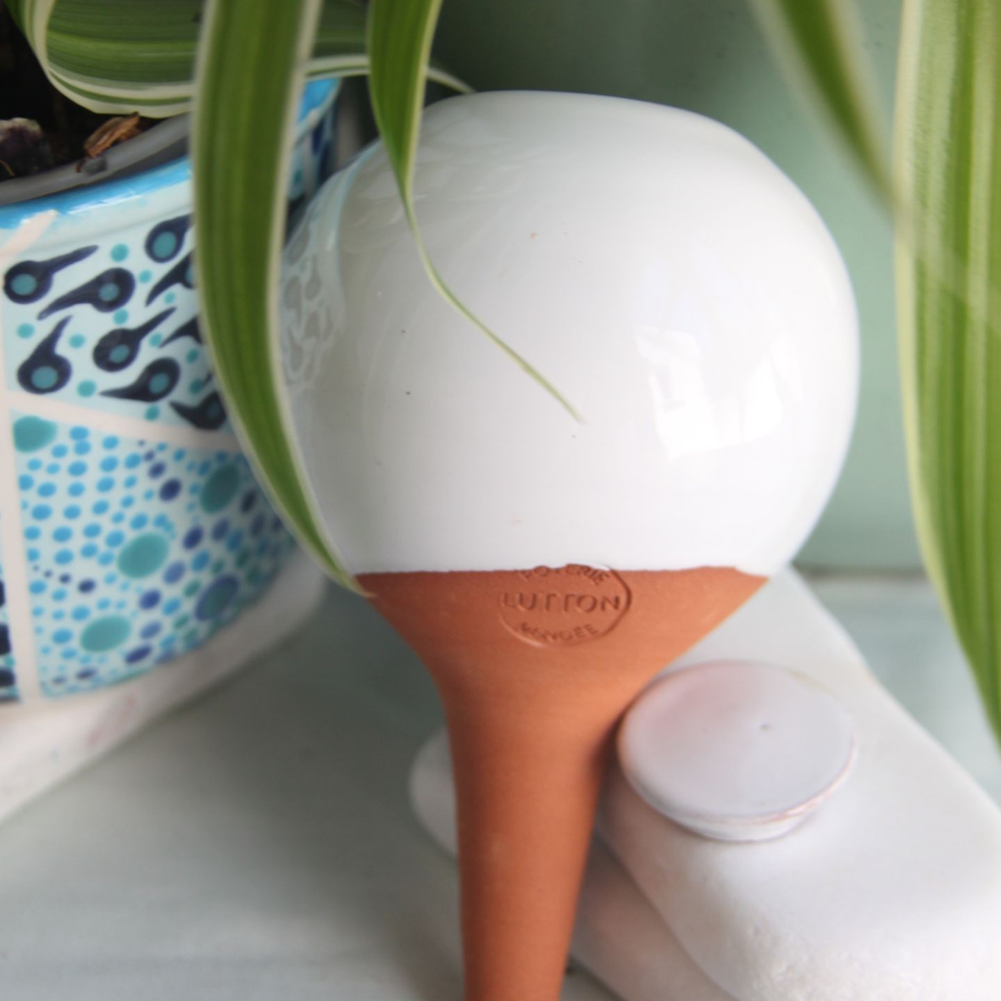 Mini Ollas à Planter Acheter - Ollas Lutton - Diffuseur d'eau autonome