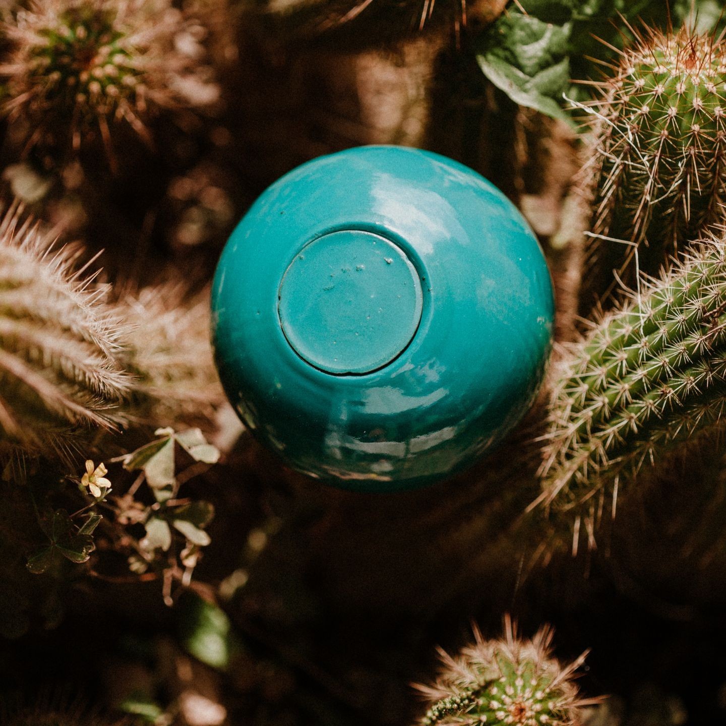 Mini Ollas à Planter Acheter - Ollas Lutton - Diffuseur d'eau autonome