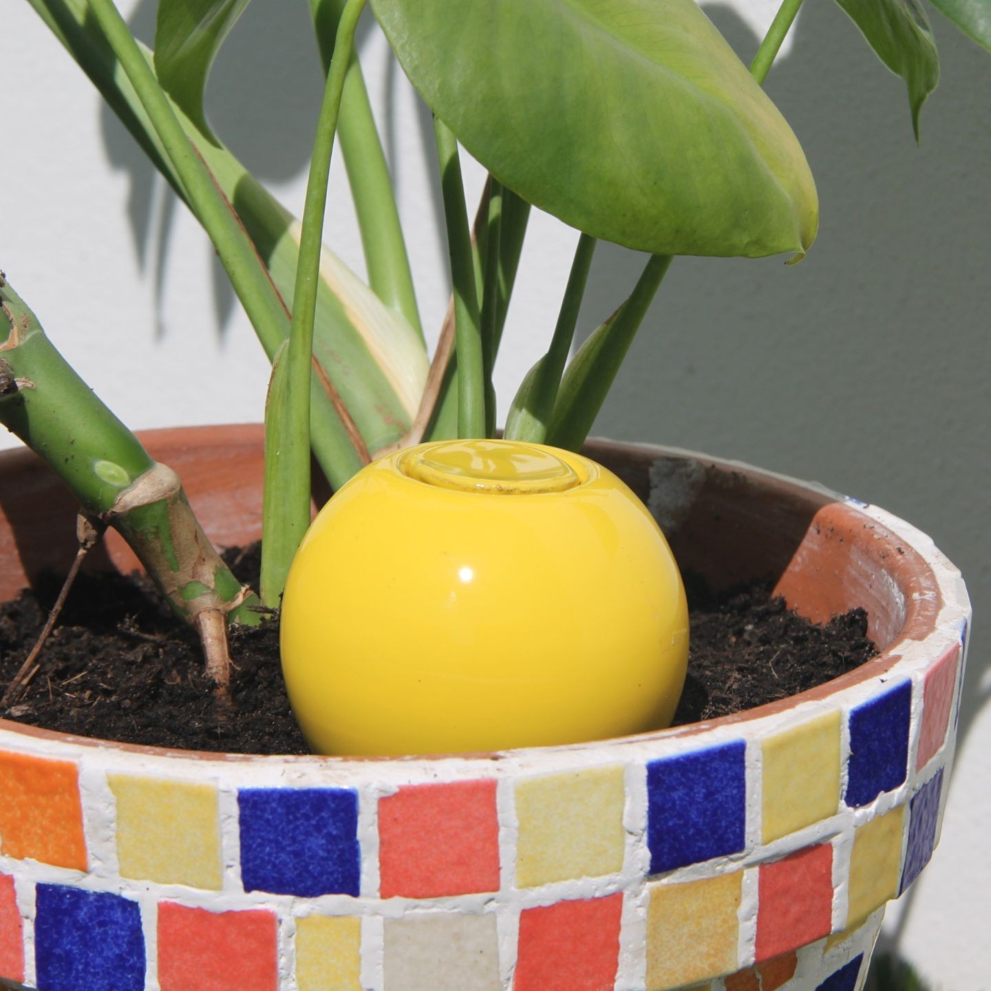 Mini Ollas à Planter Acheter - Ollas Lutton - Diffuseur d'eau autonome