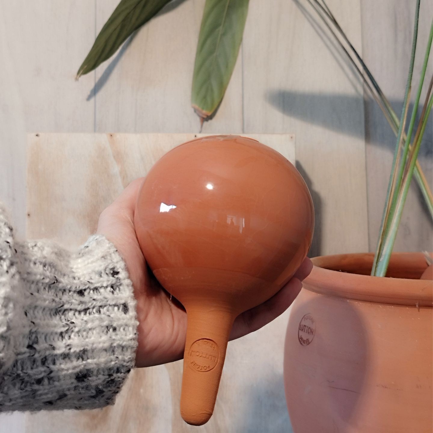 Mini Ollas à Planter Acheter - Ollas Lutton - Diffuseur d'eau autonome