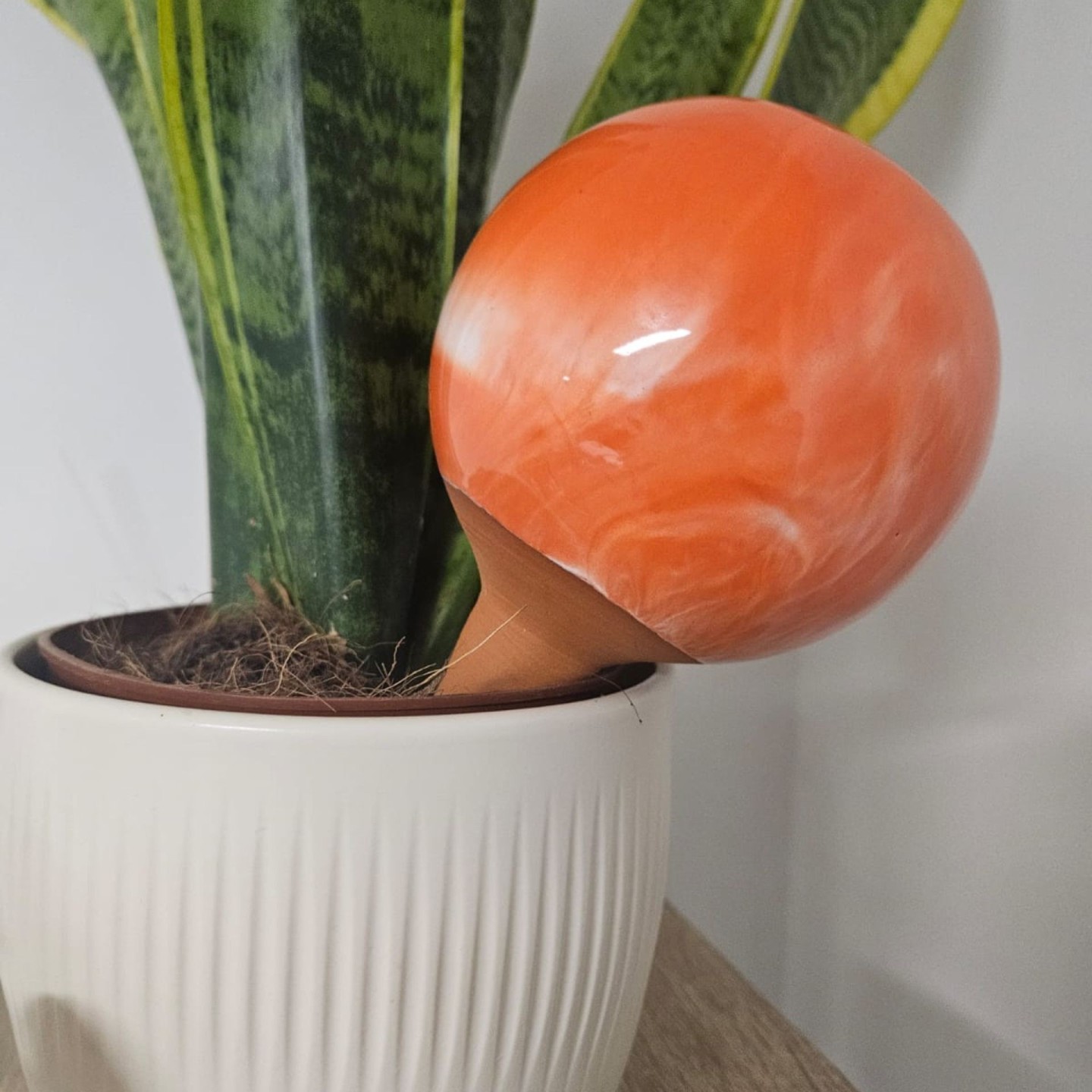 Ollas à Planter Marbre Acheter - Ollas Lutton - Diffuseur d'eau autonome