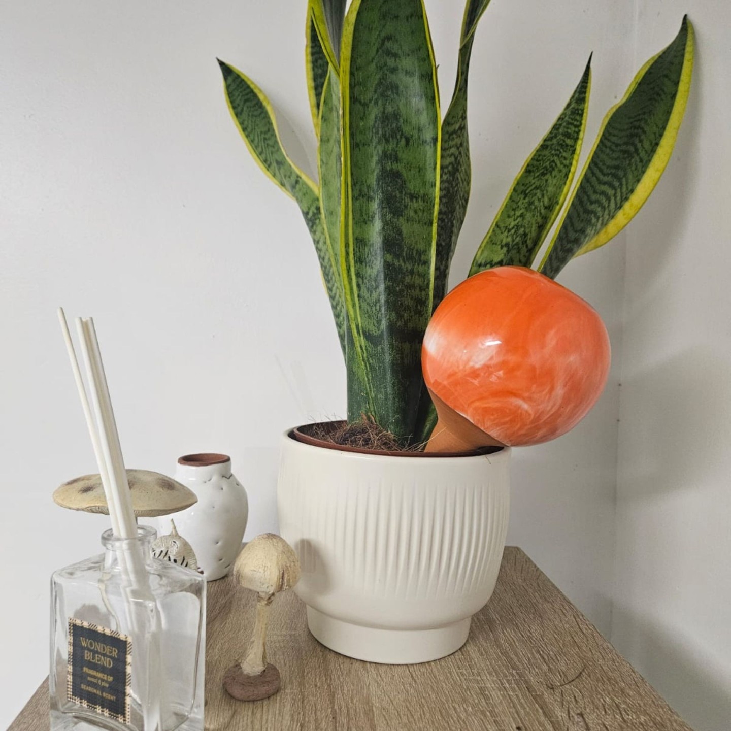 Ollas à Planter Marbre Acheter - Ollas Lutton - Diffuseur d'eau autonome