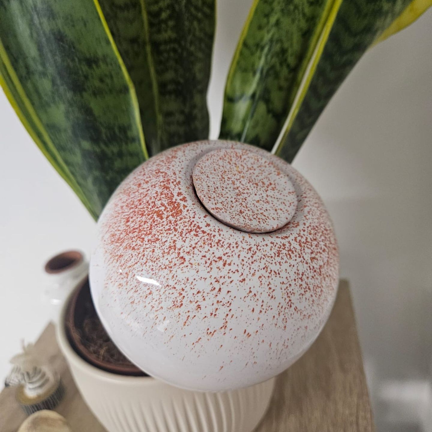 Coffret d’ollas décoré pour plantes d’intérieur