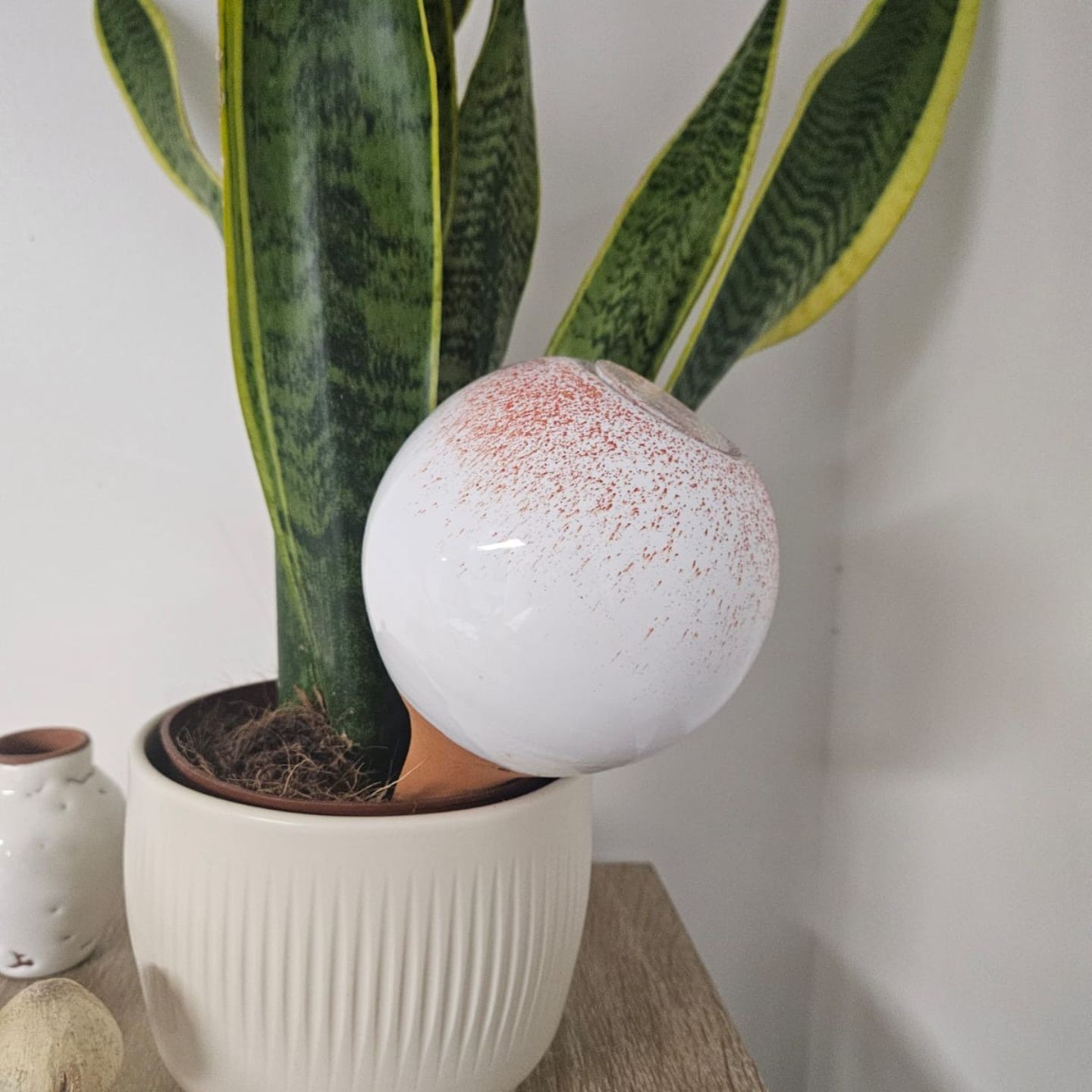 Coffret d’ollas décoré pour plantes d’intérieur