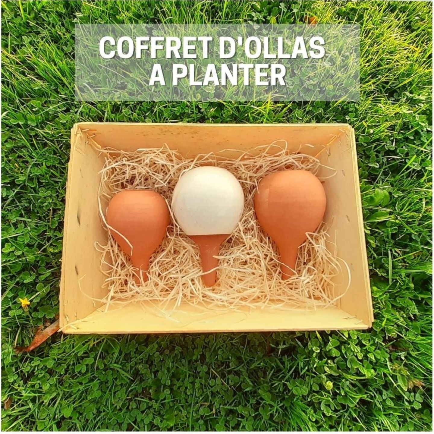 Coffret d'ollas à planter