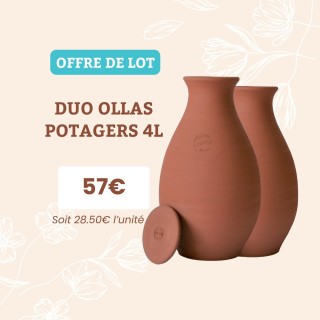 Lot de 2 Ollas Potager 4L – Difuseur Naturel d'eau