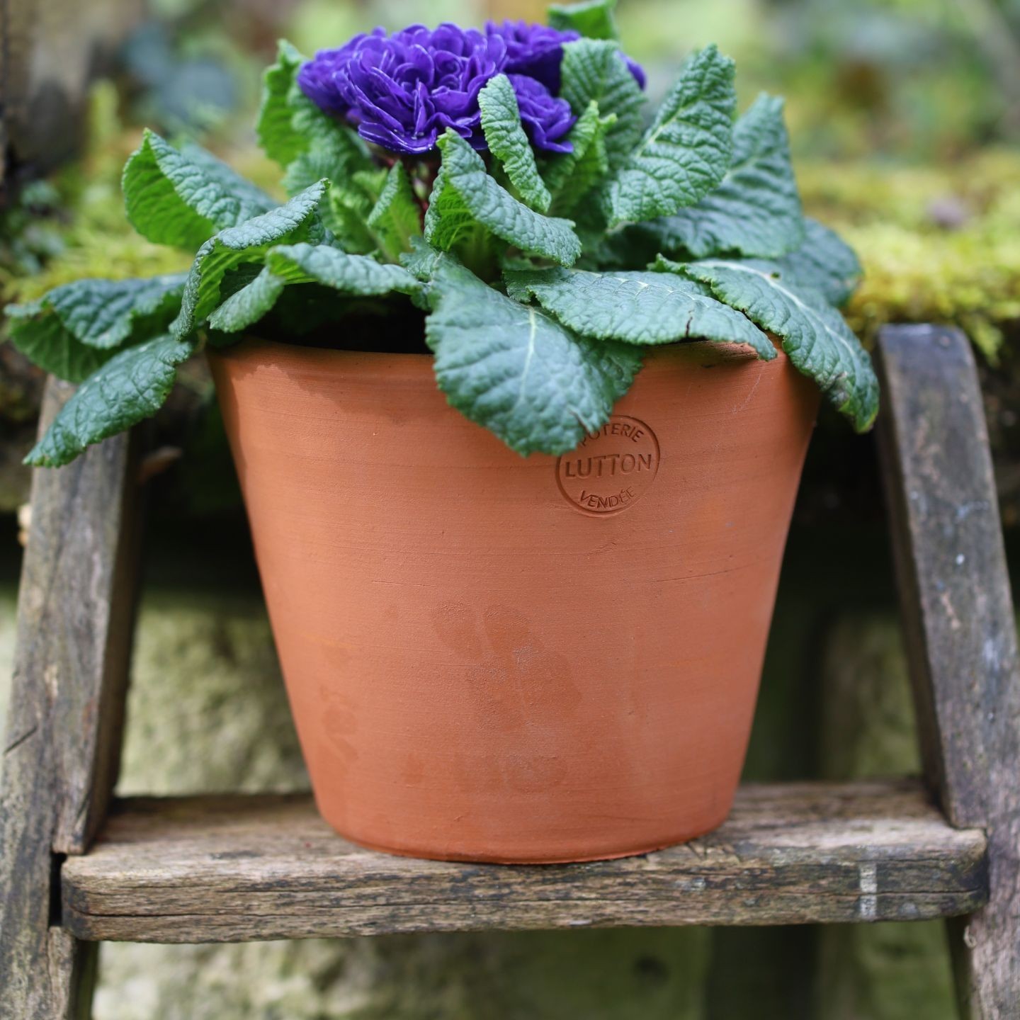 Pots Terracotta Artisanaux – Français et de qualité pour vos Espaces Extérieurs