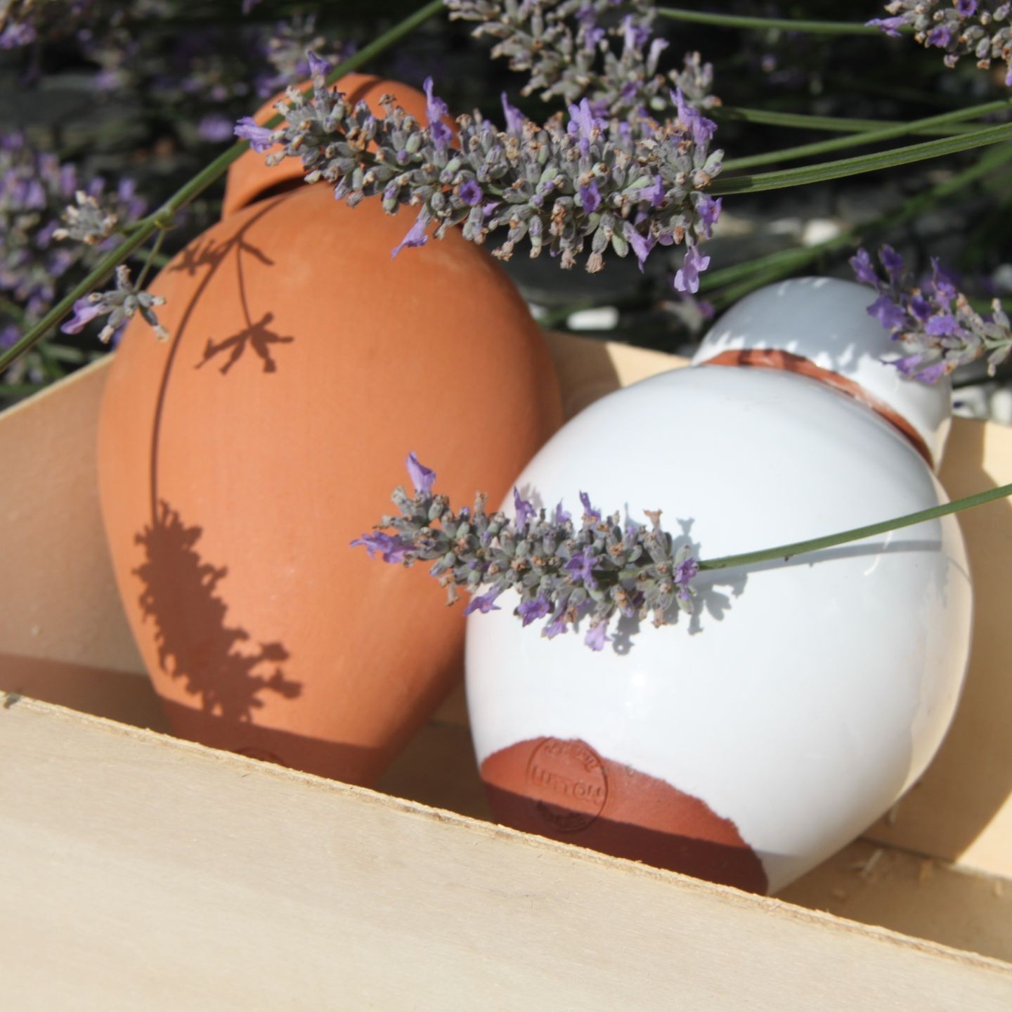 Coffret Ollas Lutton – Un Cadeau Original et complet oyas