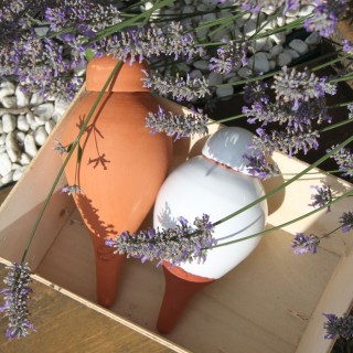 Coffret ollas Lutton - Oyas à planter terracota