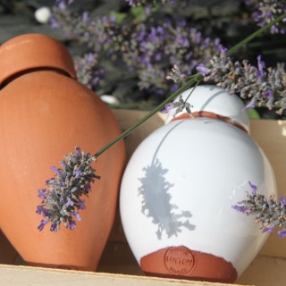 Coffret Ollas Lutton – Un Cadeau Original et complet oyas