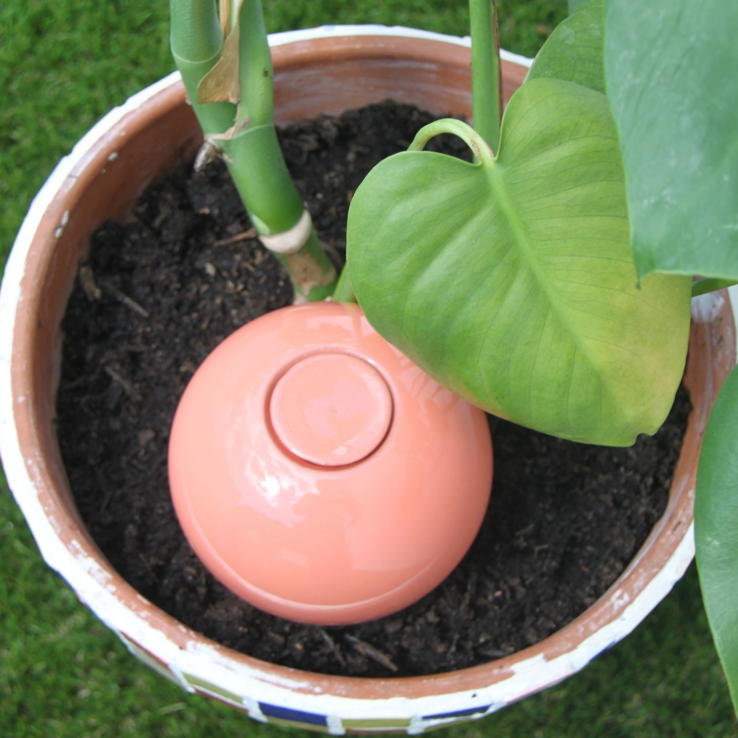 Ollas à Planter Pastel Pêche et Pistache | Arrosage Écologique et Design